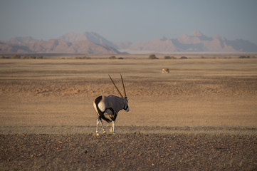 Namibia