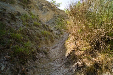 Vista dal sentiero 208 dal villaggio di Baciardi all'eremo di Morimondo