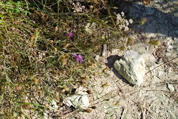 Vista dal sentiero 208 dal villaggio di Baciardi all'eremo di Morimondo