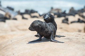Namibia