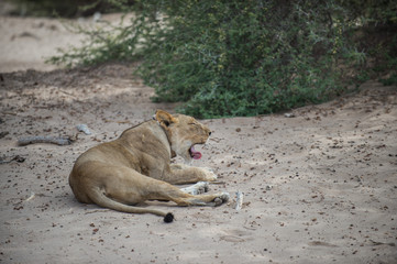 Namibia
