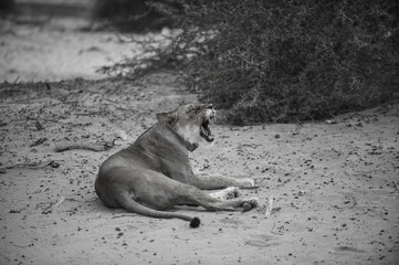 Namibia