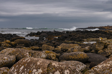 Ireland, the emerald island. Green landscapes, rough coastlines, high cliffs, ancient villages, cloisters and castles