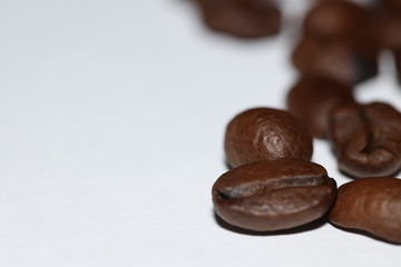 coffee beans on white background