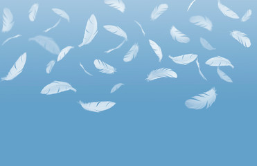 White feathers falling down in the air