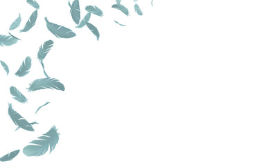 Green feathers floating in the air, isolated on white background with copy space