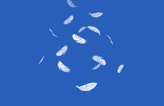 abstract, white feathers floating in the air, isolated on a blue background