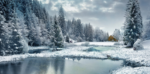  Winter forest in the Carpathians on the mountain lake Vita.