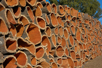 cork, cork tree bark stacked for processing
