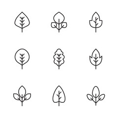 Set of simple leaf icons in linear style. Collection of vector pictograms of leaves of different tree species.