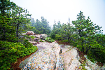 Fototapeta na wymiar Hiking path along granite rocks at Acadia National Park, Maine