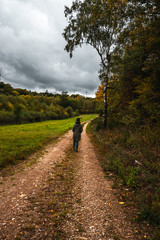 Fototapeta premium einzelne Frau auf Wanderweg im herbstlichen Hunsrück in Deutschland
