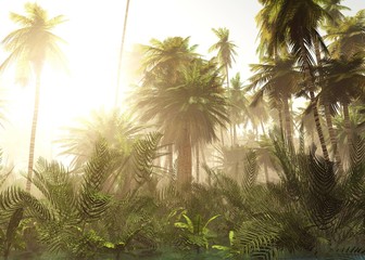 Tropischer Dschungel im Nebel. Palmen am Morgen. © ustas