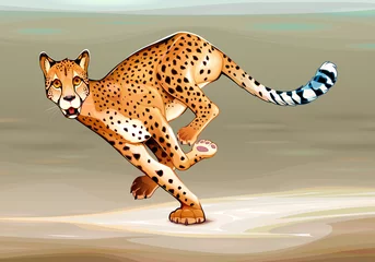Wandaufkleber Laufender Gepard in der Savanne. © ddraw
