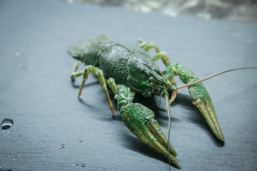 big uncooked crayfish on the board