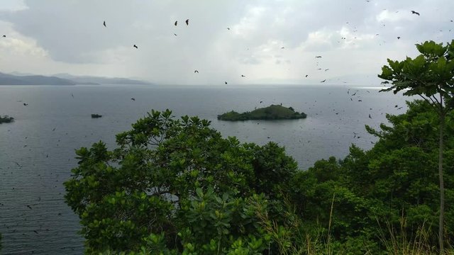 Outstanding view of lake Kivu with hundreds of flying foxes flying around in Africa