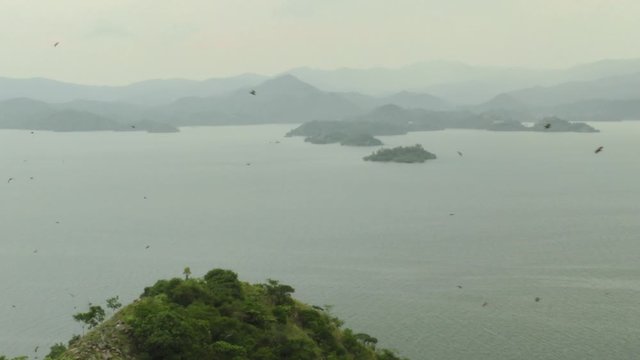 Beautiful landscape view over lake Kivu with lots of flying foxes flying in a circle