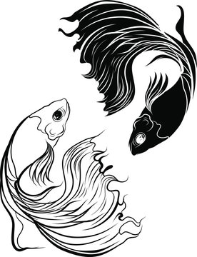 Hand drawn and Silhouette beautiful siamese fighting fish.Thai beautiful fish tatoo.Infinity asian fish.