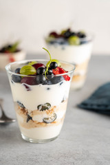 Tiramisu with berries in glasses on grey background. Italian dessert. Copy space.