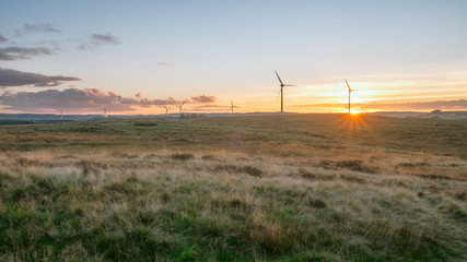 Panorama of the Scottish summer countryside with a windmills on sunset. West Lothian, Scotland