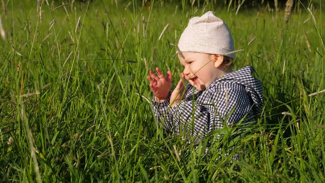 Little baby sitting in grass, clap hands and smile. Young cheerful child playing at tall wild grass, enjoy song or music