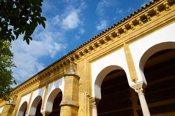 Obraz premium Cordoba Mosque view