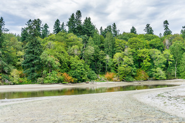 Ellis Cove Landscape