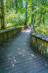 Nisqually Wetlands Boardwalk 3