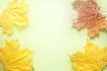Background of autumn leaves behind a wet window.