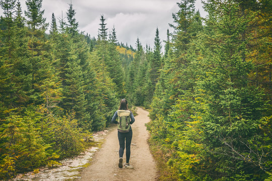 Hiker travel woman walking on trail hike path in forest of pine trees. Canada travel adventure girl tourist trekking in outdoors nature.