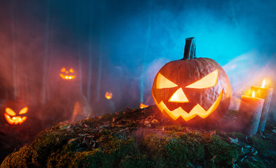 Spooky halloween pumpkins in forest
