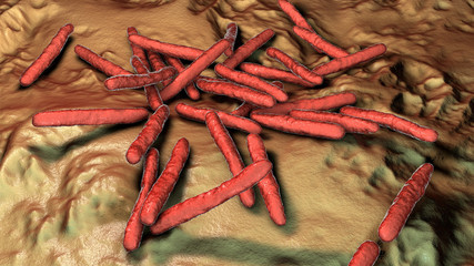 Mycobacterium leprae bacteria, the causative agent of leprosy, 3D illustration