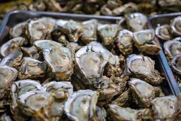 Background of fresh oyster from the market