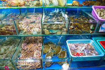 Different kinds of raw fresh seafood in water tanks at an asian seafood market in Sanya, Hainan, China