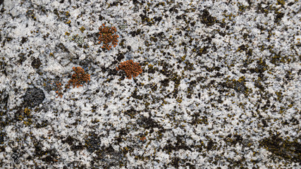 Granite surface texture background wallpaper