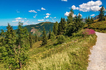 Fototapeta na wymiar Beautiful alpine view at the famous Planai Alm, Schladming, Steiermark, Austria