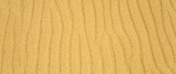 Yellow sand texture