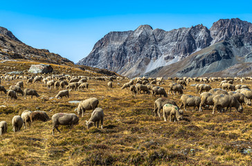 Obraz premium Laghi di Pontechianale, Cuneo, Italia