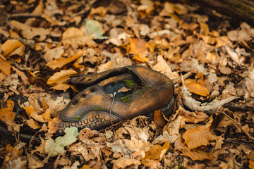 a leather shoe thrown into the woods