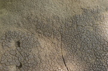 A texture of cracked paint on a concrete wall