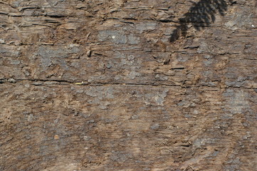 Old wood boards texture for card background