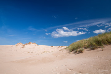 Landscape in the Slowinski National Park on a sunny day.