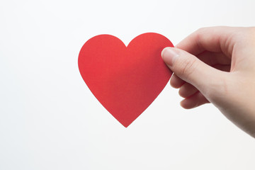 red heart in hand on a white background