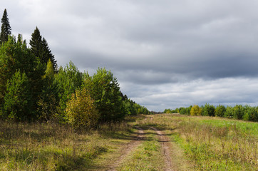 country road by the forest
