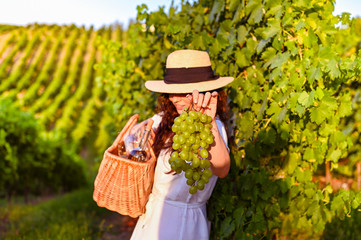 Girl with a picnic basket and vineyards. The rays of the setting sun in the photo. Season grape harvesting in Italy. Green hills and woman. Emotional photo.