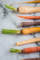 Rainbow Colored Carrots with Tops