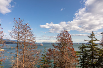 PNW Harbour in Fall