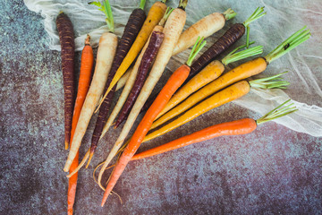Fototapeta na wymiar Rainbow Colored Carrots with Tops