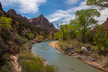 The Watchman cliff and Virgin River, Zion National Park, Utah