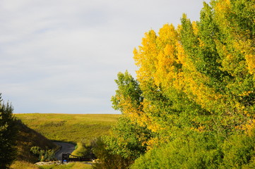 autumn landscape with trees and blue sky